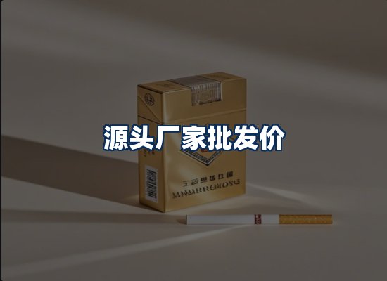专业团队办公环境